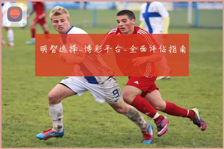 明智选择_博彩平台_全面评估指南