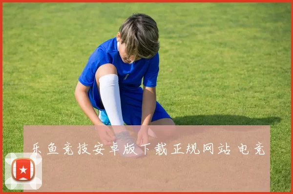 乐鱼竞技安卓版下载正规网站 电竞2