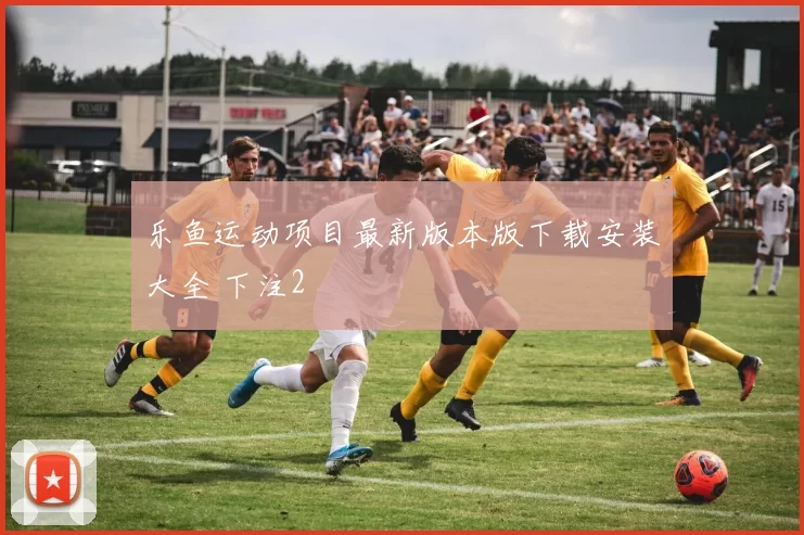乐鱼运动项目最新版本版下载安装大全 下注2