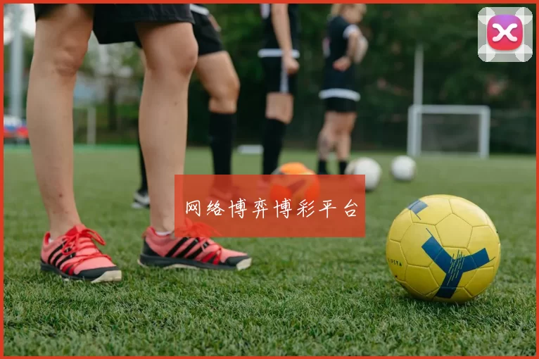 网络博弈博彩平台