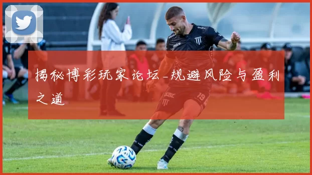 揭秘博彩玩家论坛_规避风险与盈利之道