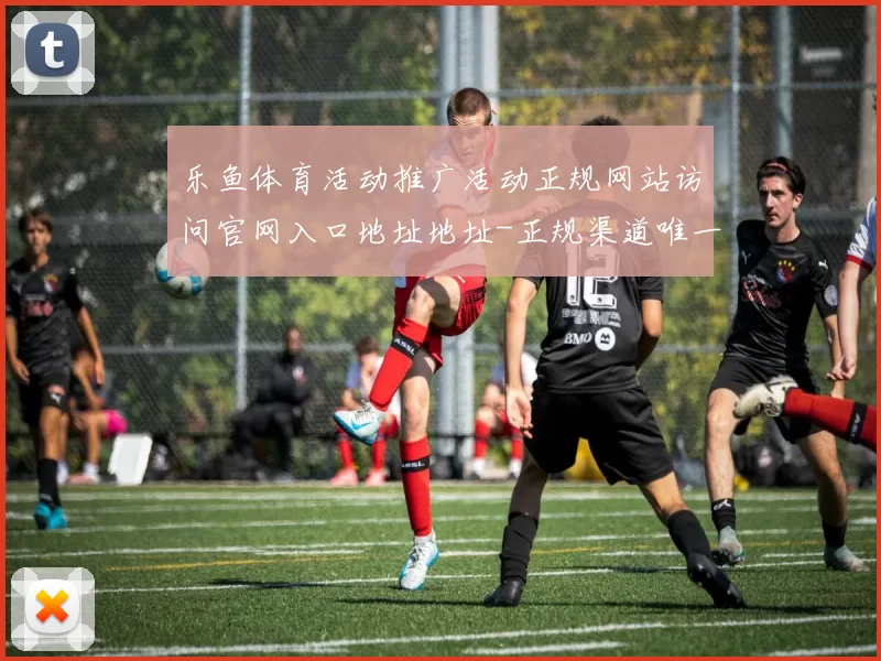 乐鱼体育活动推广活动正规网站访问官网入口地址地址-正规渠道唯一指定进入页面结构官方网站入口地址地址