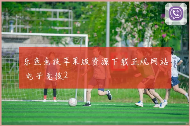 乐鱼竞技苹果版资源下载正规网站 电子竞技2