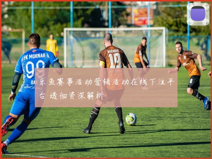 乐鱼赛事活动营销活动在线下注平台 透彻资深解析