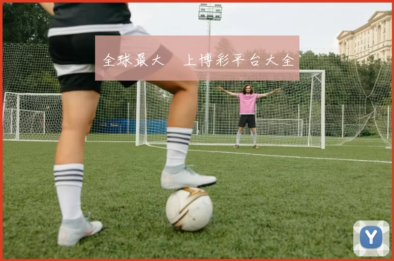 全球最大網上博彩平台大全