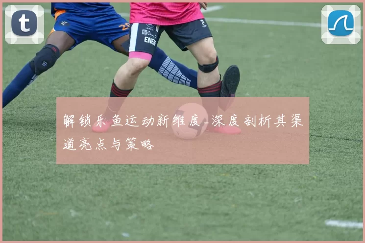 解锁乐鱼运动新维度_深度剖析其渠道亮点与策略