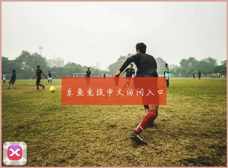 乐鱼竞技中文访问入口