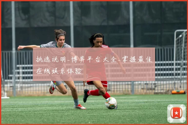 挑选说明_博弈平台大全_掌握最佳在线娱乐体验