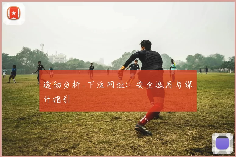 透彻分析_下注网址：安全选用与谋计指引