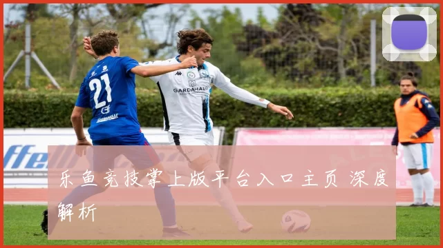 乐鱼竞技掌上版平台入口主页 深度解析