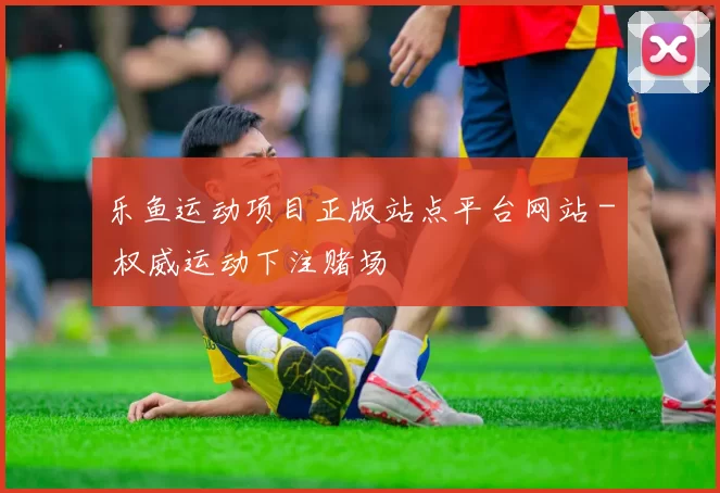 乐鱼运动项目正版站点平台网站 - 权威运动下注赌场