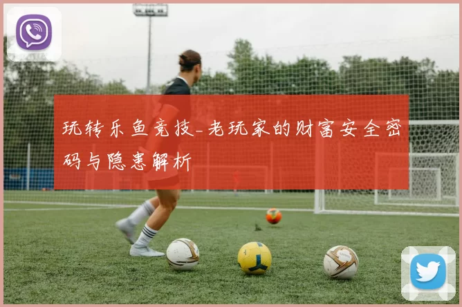 玩转乐鱼竞技_老玩家的财富安全密码与隐患解析