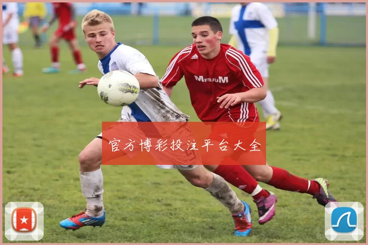 官方博彩投注平台大全